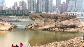 解惑交流,孩子要上户口了,是上农村的好还上城市户好?你怎么看?,快来提问吧!